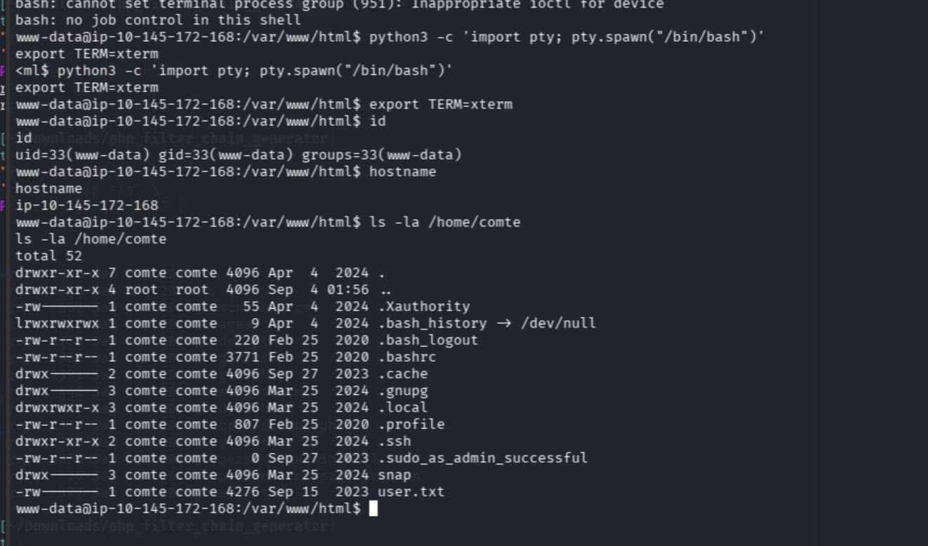 Upgraded www-data shell and contents of the comte home directory